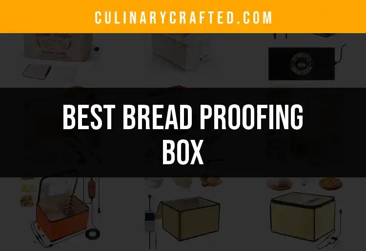 10 Best Bread Proofing Boxes for Perfect Loaves
