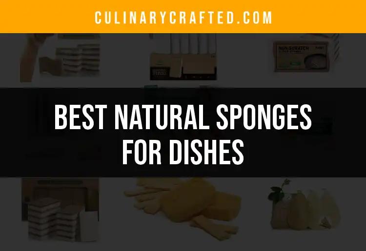 14 Top Natural Sponges for Dishes You’ll Love