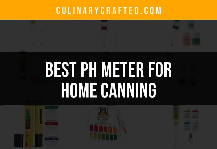 15 Best pH Meters for Home Canning You Should Consider