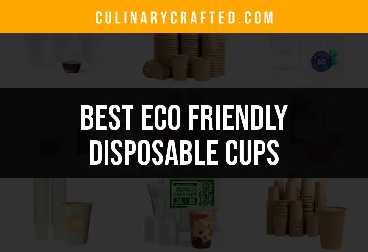 Top 10 Eco Friendly Disposable Cups for Every Occasion