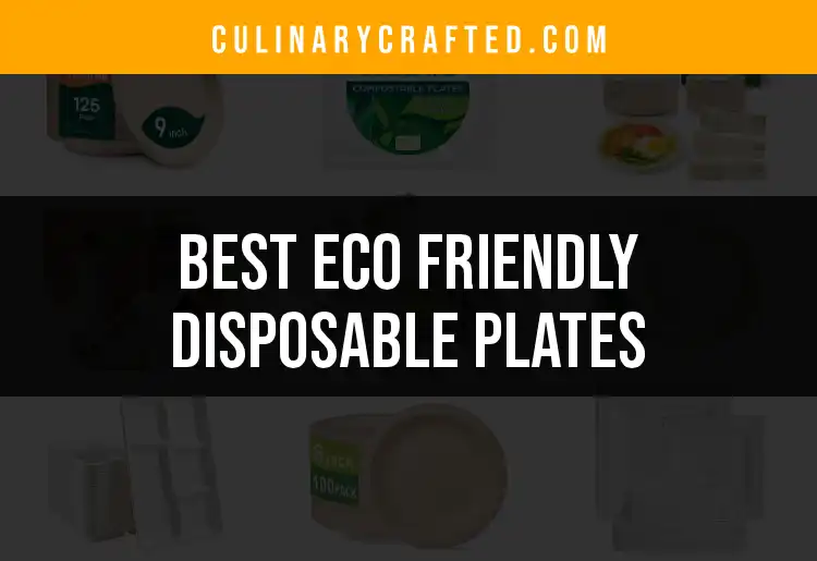 12 Eco Friendly Disposable Plates You’ll Love