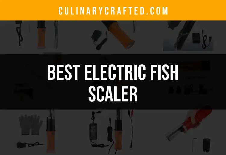 Top 10 Electric Fish Scalers for Effortless Cleaning