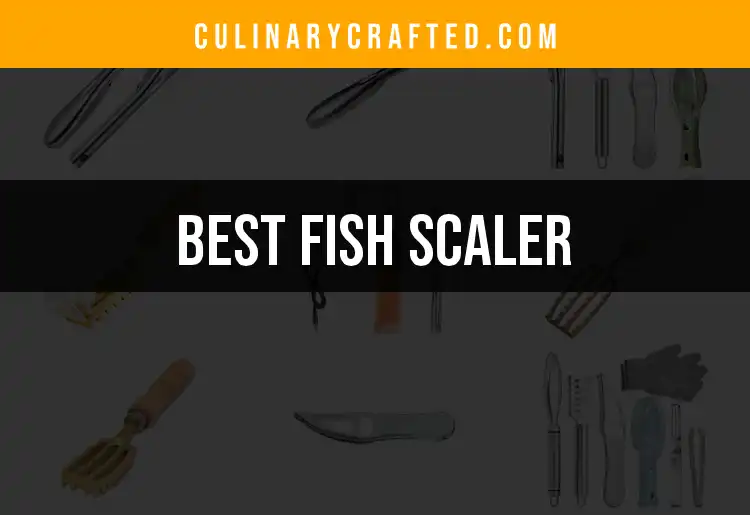 12 Best Fish Scalers for Effortless Seafood Prep