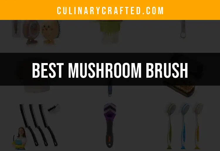 13 Must-Have Mushroom Brushes for Culinary Excellence
