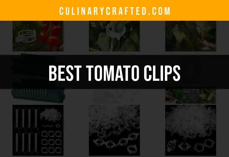 12 Must-Have Tomato Clips for a Tidy Garden